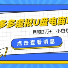 拼多多虚拟U盘电商红利项目：月赚2万+，新手小白也能玩