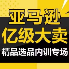 亚马逊亿级大卖-精品选品内训专场，亿级卖家分享选品成功之道