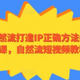 自然流打造IP正确方法线上课，自然流短视频教程