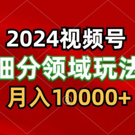 2024视频号分成计划细分领域玩法，每天5分钟，月入1W+