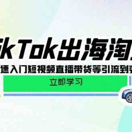 TikTok出海淘金，新手0-1快速入门短视频直播带货等引流到变现的知识