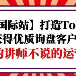 （9976期）【阿里国际站】打造Top店铺-获得优质询盘客户，95%的讲师不说的运营技巧