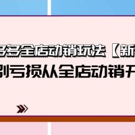 （9974期）拼多多全店动销玩法【新课】，告别亏损从全店动销开始（4节视频课）