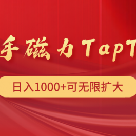 （9964期）快手磁力TapTap暴利玩法