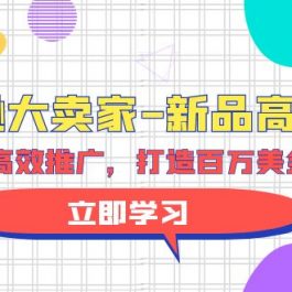 （9945期）亚马逊 大卖家-新品高效推广，分享如何高效推广，打造百万美金爆款单品