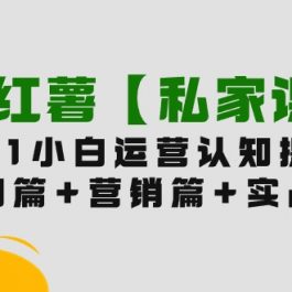 （9910期）小红薯【私家课】0-1玩赚小红书内容营销，认知篇+营销篇+实战篇（11节课）