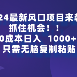 （9899期）2024最新风口项目来袭，抓住机会，0成本一部手机日入1000+，只需无脑复…