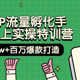 （9881期）自然IP流量孵化手 14天线上实操特训营【第9期】月入5w+百万爆款打造 (74节)