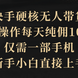 （9862期）快手硬核无人带货，简单操作每天纯佣1000+,仅需一部手机，新手小白直接上手