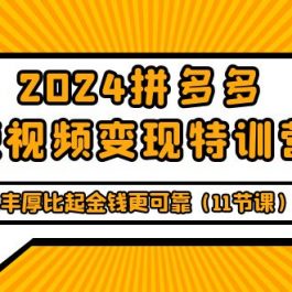 （9817期）2024拼多多短视频变现特训营，知识的丰厚比起金钱更可靠（11节课）