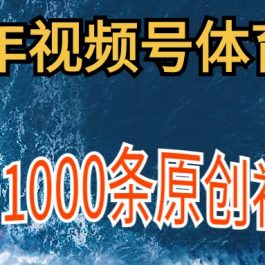 （9810期）2024年体育赛道视频号，新手轻松操作， 日产1000条原创视频,多账号多撸分成