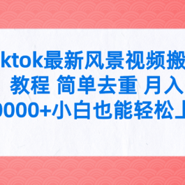 （9804期）tiktok最新风景视频搬运教程 简单去重 月入30000+附全套工具