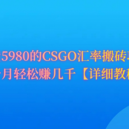 （9776期）CSGO装备搬砖，月综合收益率高达60%，你也可以！