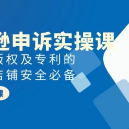 （9754期）亚马逊-申诉实战课，​商标、版权及专利的申诉，店铺安全必备