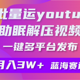 （9727期）批量搬运YouTube解压助眠视频 一键多平台发布 月入2W+