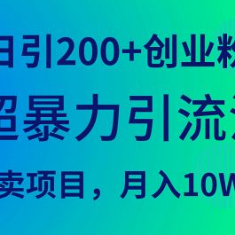 （9654期）超暴力引流法，日引200+创业粉，卖项目月入10W+