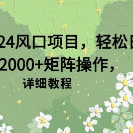 （9652期）2024风口项目，轻松日入2000+矩阵操作，详细教程