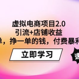 （9645期）虚拟电商项目2.0：引流+店铺收益  卖一单，挣一单的钱，付费暴利起店