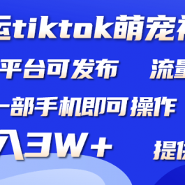 （9618期）搬运Tiktok萌宠类视频，一部手机即可。所有短视频平台均可操作，月入3W+