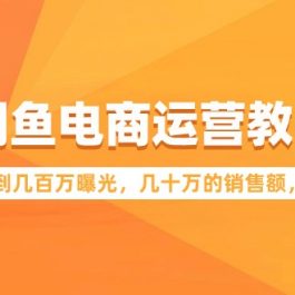 （9560期）闲鱼电商运营教程：如何做到几百万曝光，几十万的销售额，百万利润