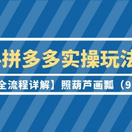 （9559期）2024拼多多实操玩法合集【0-1全流程详解】照葫芦画瓢（9节课）