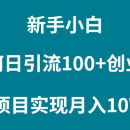 （9556期）新手小白如何通过卖项目实现月入10W+