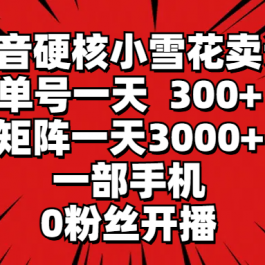 （9551期）抖音硬核小雪花卖课，单号一天300+，矩阵一天3000+，一部手机0粉丝开播