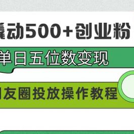 （9534期）99元撬动500+创业粉，单日五位数变现，网赚朋友圈投放操作教程价值5980！