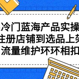 （9527期）拼系冷门蓝海产品实操课程，从注册店铺到选品上架到流量维护环环相扣