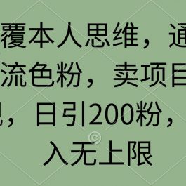 （9523期）颠覆本人思维，通过引流色粉，卖项目变现，日引200粉，收入无上限