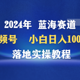 （9515期）2024年蓝海赛道 视频号  小白日入1000+ 落地实操教程