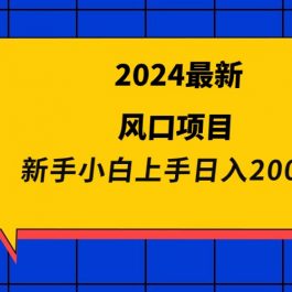 （9483期）2024最新风口项目 新手小白日入2000+