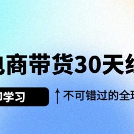 （9463期）Tk电商带货30天线上课，不可错过的全球流量洼地（29节课）