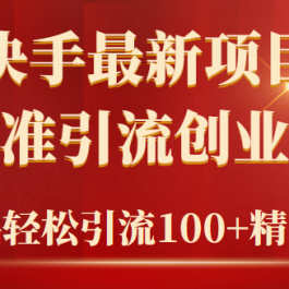 （9447期）2024年抖音快手最新项目拆解视频引流创业粉，一天轻松引流精准创业粉100+