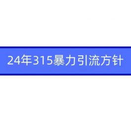 （9398期）2024年315暴力引流方针