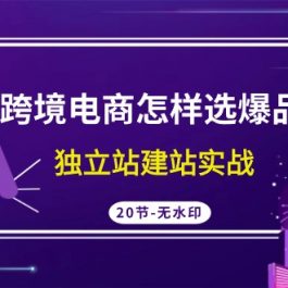 （9369期）跨境电商怎样选爆品，独立站建站实战（20节高清无水印课）