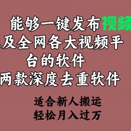 （9319期）能够一键发布视频号以及全网各大视频平台的软件+两款深度去重软件 适合…