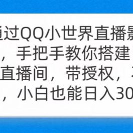 （9279期）通过OO小世界直播影视剧，搭建日不落直播间 带授权 不违规 日入300