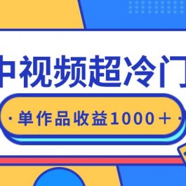 （9275期）最新中视频超冷门赛道，轻松过原创，单条视频收益1000＋