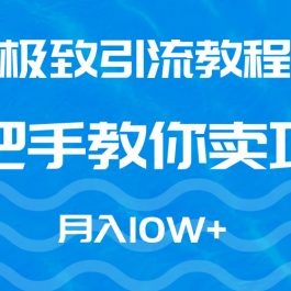 （9265期）极致引流教程，手把手教你卖项目，月入10W+