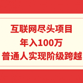 （9250期）互联网尽头项目：年入100W，普通人实现阶级跨越