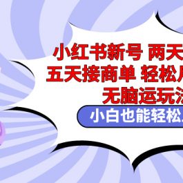 （9239期）小红书新号两天涨千粉五天接商单轻松月入过万 无脑搬运玩法 小白也能轻…