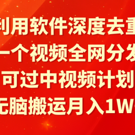 （9224期）利用软件深度去重，一个视频全网分发，可过中视频计划，无脑搬运月入1W+