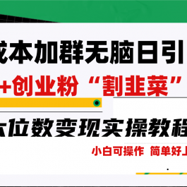 （9219期）零成本加群日引300+创业粉割韭菜月六位数变现，简单无好上手！
