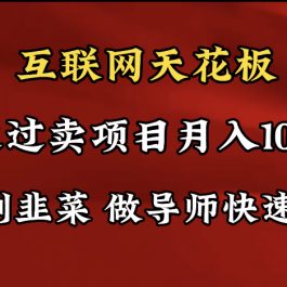 （9201期）导师训练营互联网的天花板，让你告别韭菜，通过卖项目月入10w+，一定要…