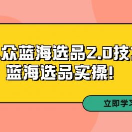 （9189期）拼多多培训第33期：小众蓝海选品2.0技术-蓝海选品实操！