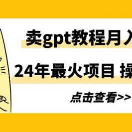 （9180期）24年最火项目，卖gpt教程月入过万，操作简单