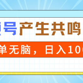 （9133期）2024年视频号，产生共鸣赛道，简单无脑，一分钟一条视频，日入1000+