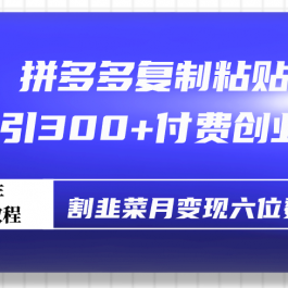 （9129期）拼多多复制粘贴日引300+付费创业粉，割韭菜月变现六位数最新教程！