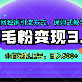 （9116期）羊毛粉变现3.0 全网独家引流方式，小白轻松上手，日入500+